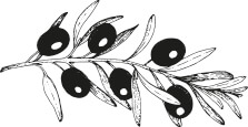illustration de hoja de olivo